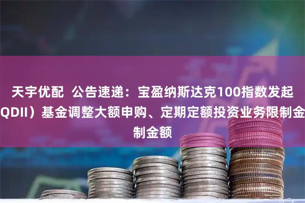 天宇优配  公告速递：宝盈纳斯达克100指数发起（QDII）基金调整大额申购、定期定额投资业务限制金额