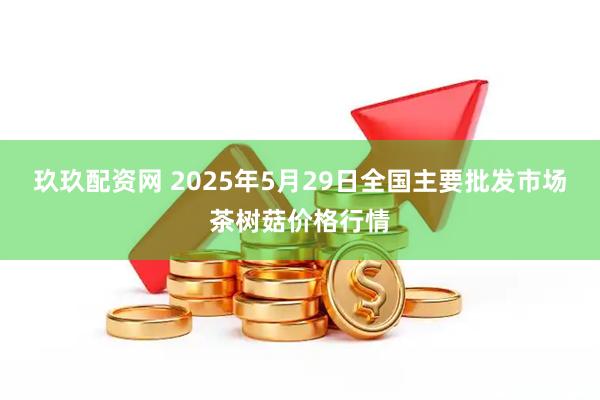玖玖配资网 2025年5月29日全国主要批发市场茶树菇价格行情