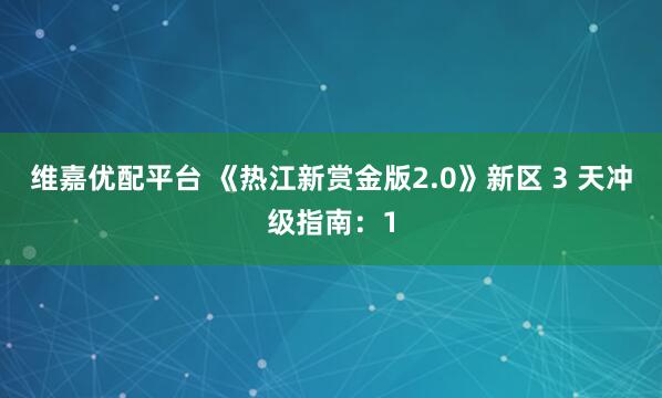 维嘉优配平台 《热江新赏金版2.0》新区 3 天冲级指南：1