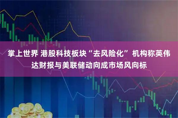 掌上世界 港股科技板块“去风险化” 机构称英伟达财报与美联储动向成市场风向标