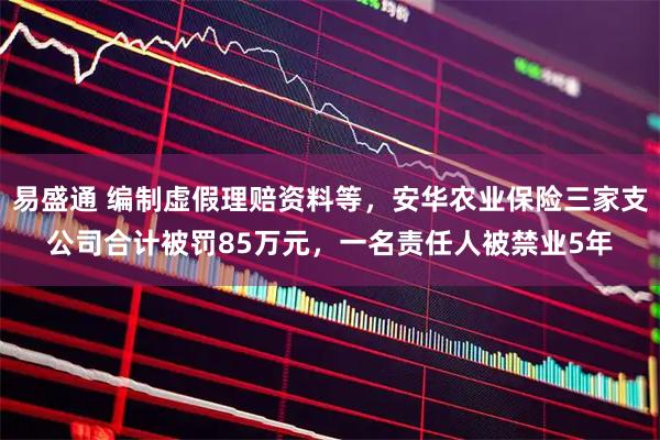 易盛通 编制虚假理赔资料等，安华农业保险三家支公司合计被罚85万元，一名责任人被禁业5年