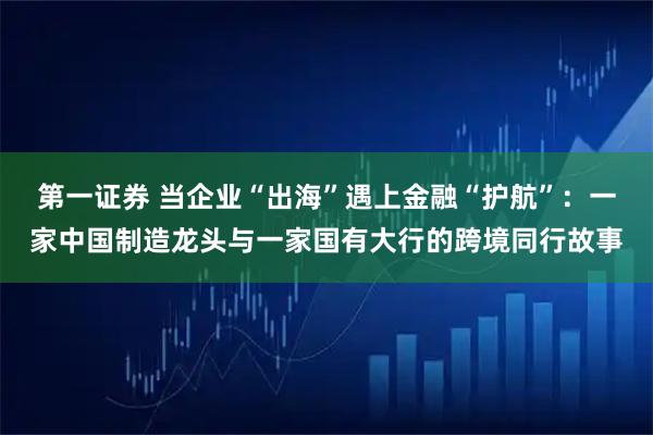 第一证券 当企业“出海”遇上金融“护航”:一家中国制造龙头与一家国有大行的跨境同行故事